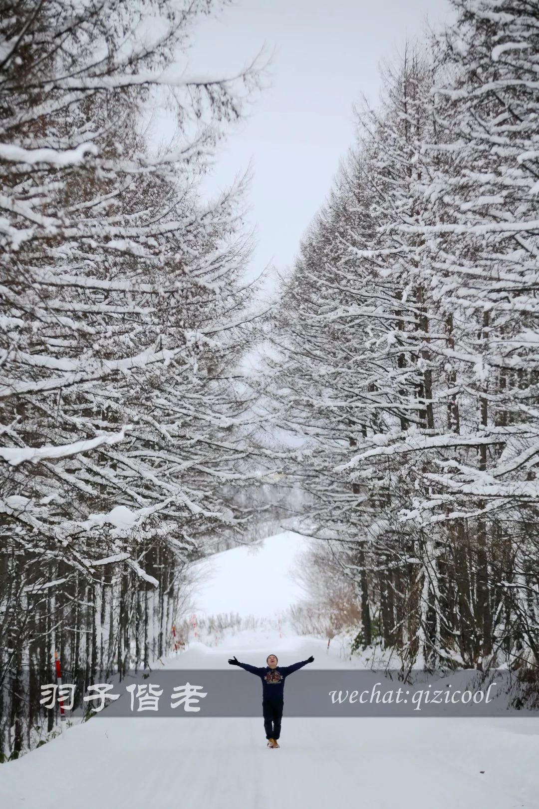 老实说,这一趟北海道就是为了拍好看的照片去的