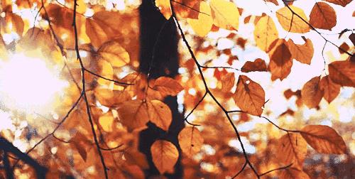 时光匆匆山河已是秋,时光如水山河已秋