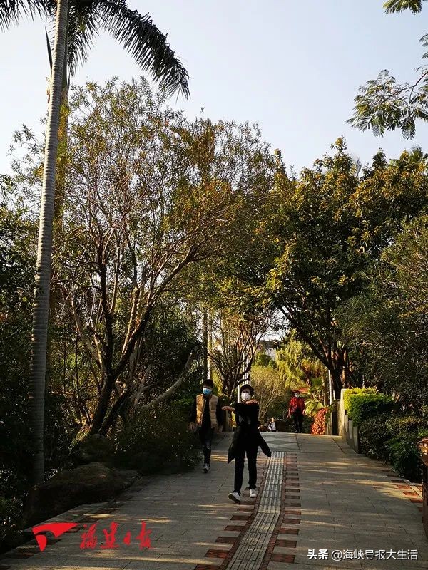 福建春季游玩好去处推荐,我闻到了春天的气息200字