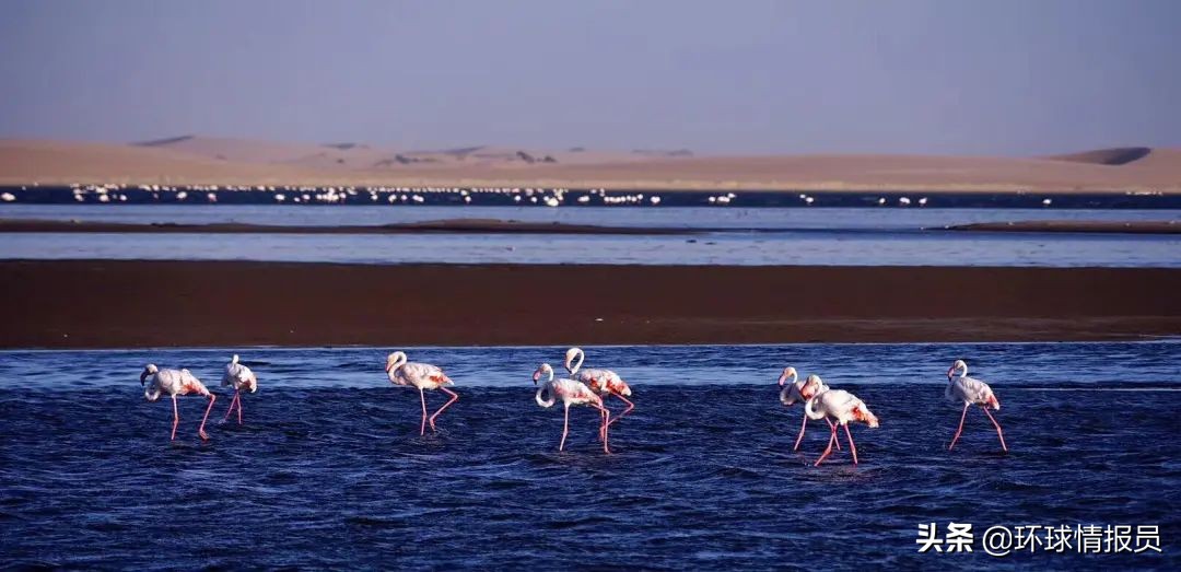 纳米比亚地理位置图,纳米比亚是个什么地方