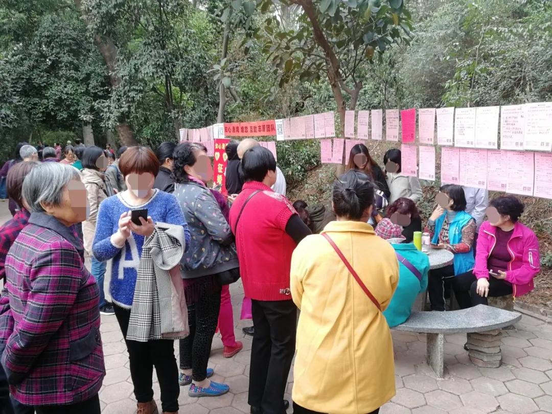 中老年人直播购物防骗指南,中老年人防骗短片