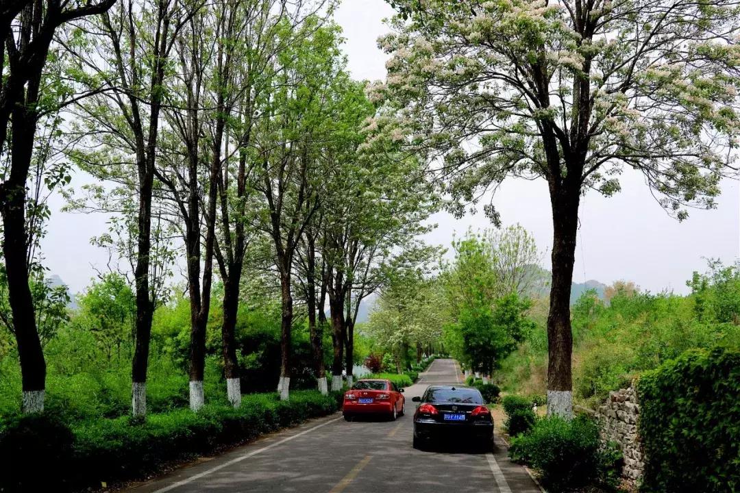 临朐石门坊风景区路线,临朐石门坊风景区