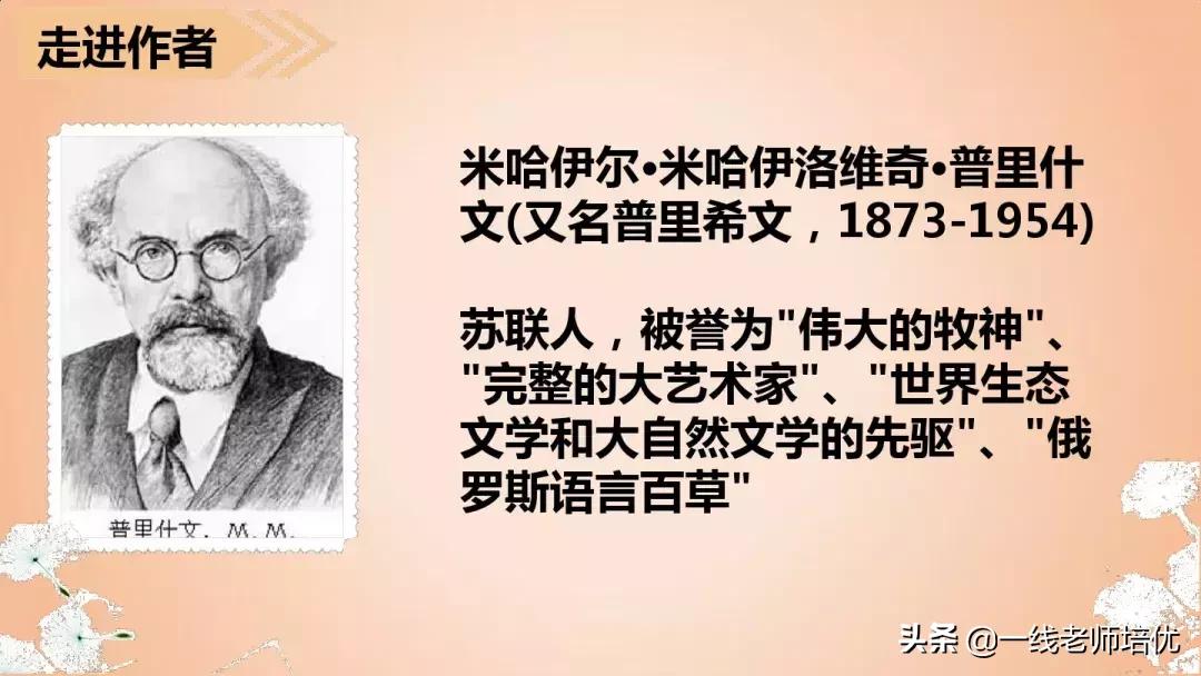 三年级语文金色的草地展现了什么,语文三年级上金色的草地课文讲解