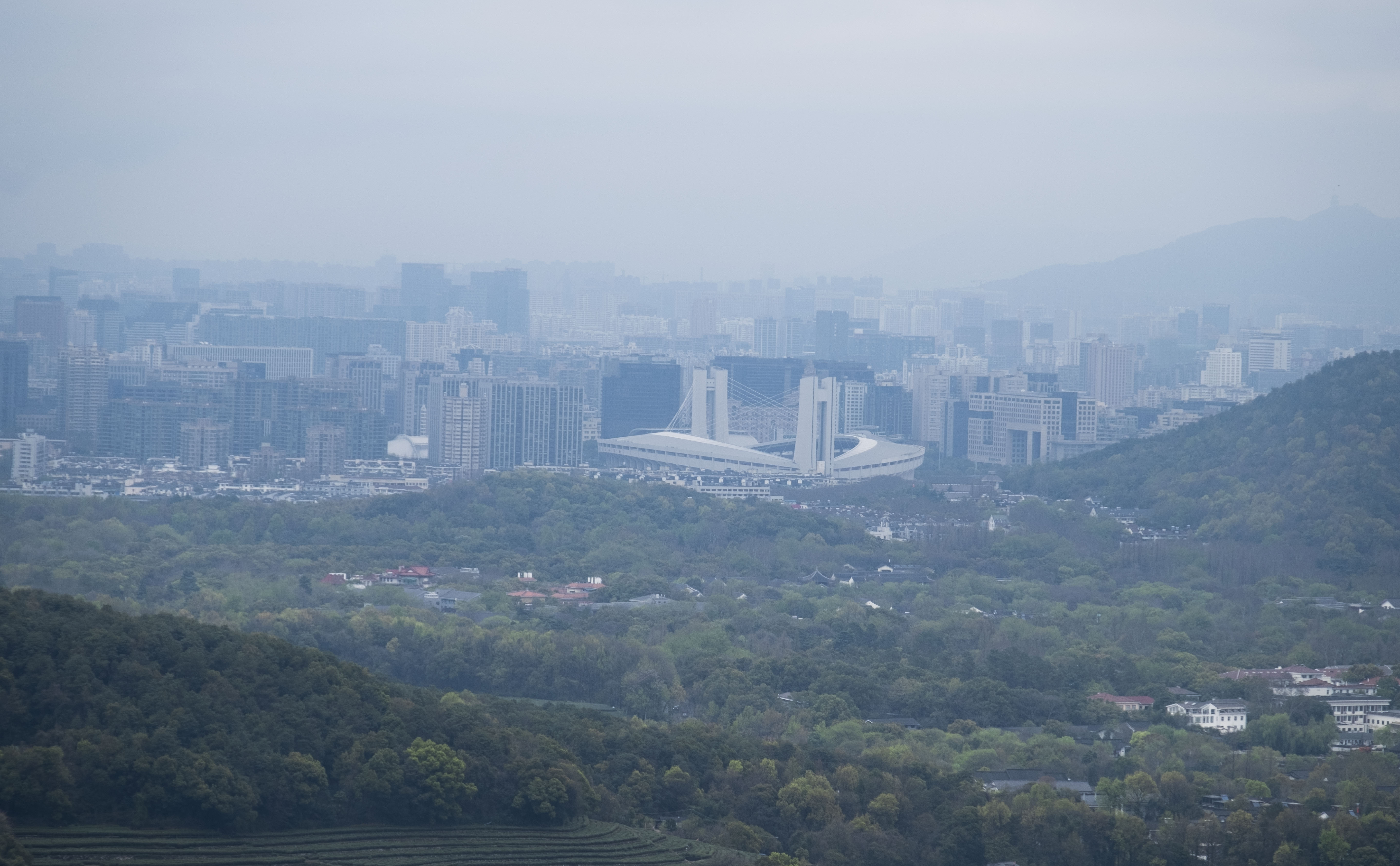 西湖龙井春茶季,龙井茶西湖明前春茶