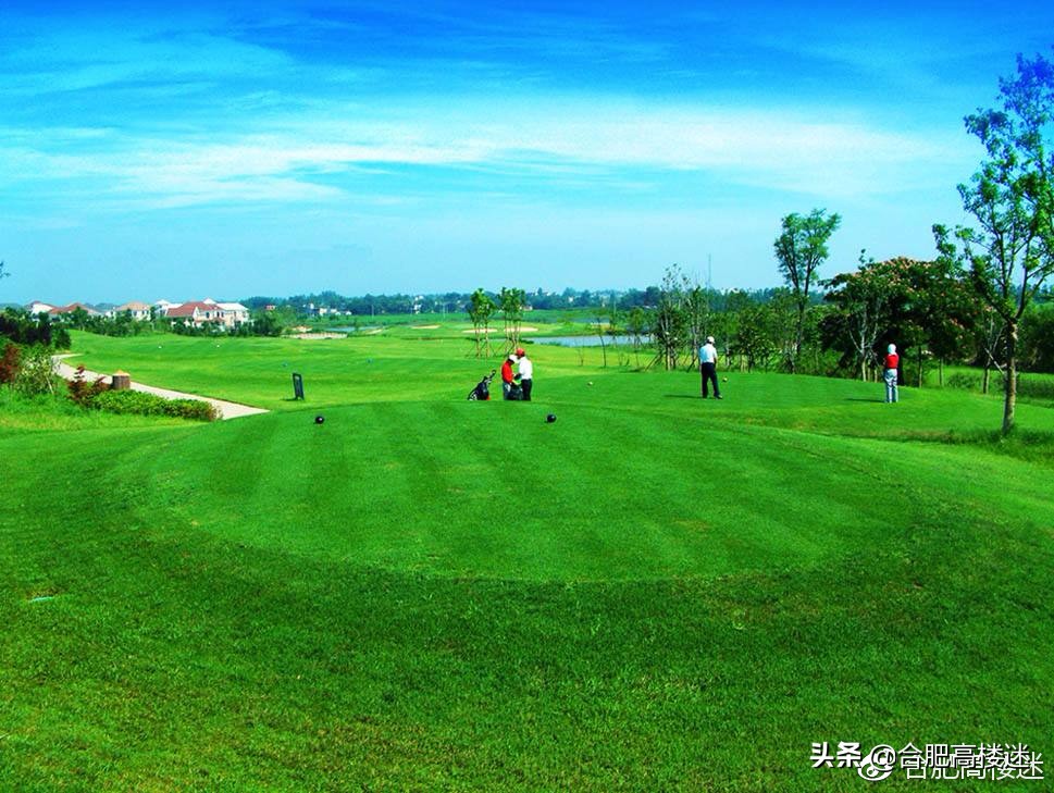 合肥五一旅游景点攻略大全,五一假期合肥旅游人气爆棚