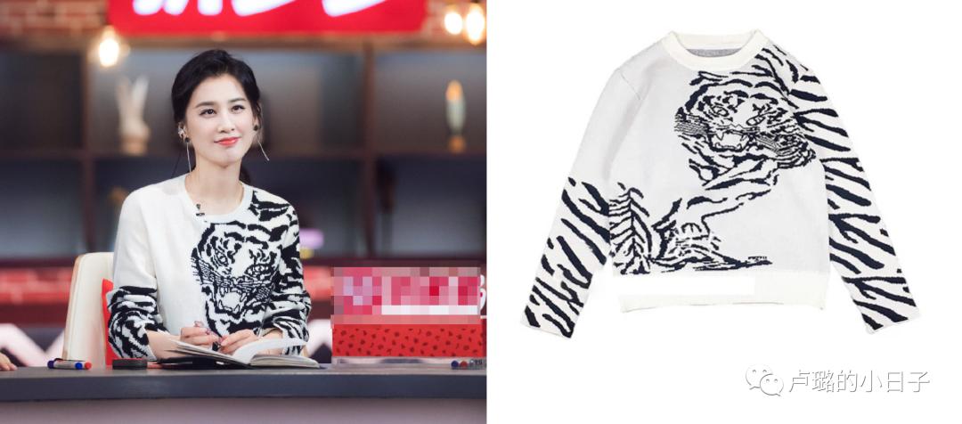 看乘风破浪的姐姐们观众反应,看乘风破浪的姐姐的反应