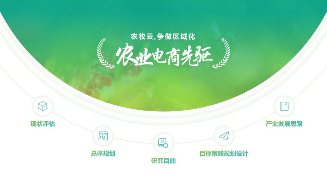 ppt万能版式,ppt图文版式合集