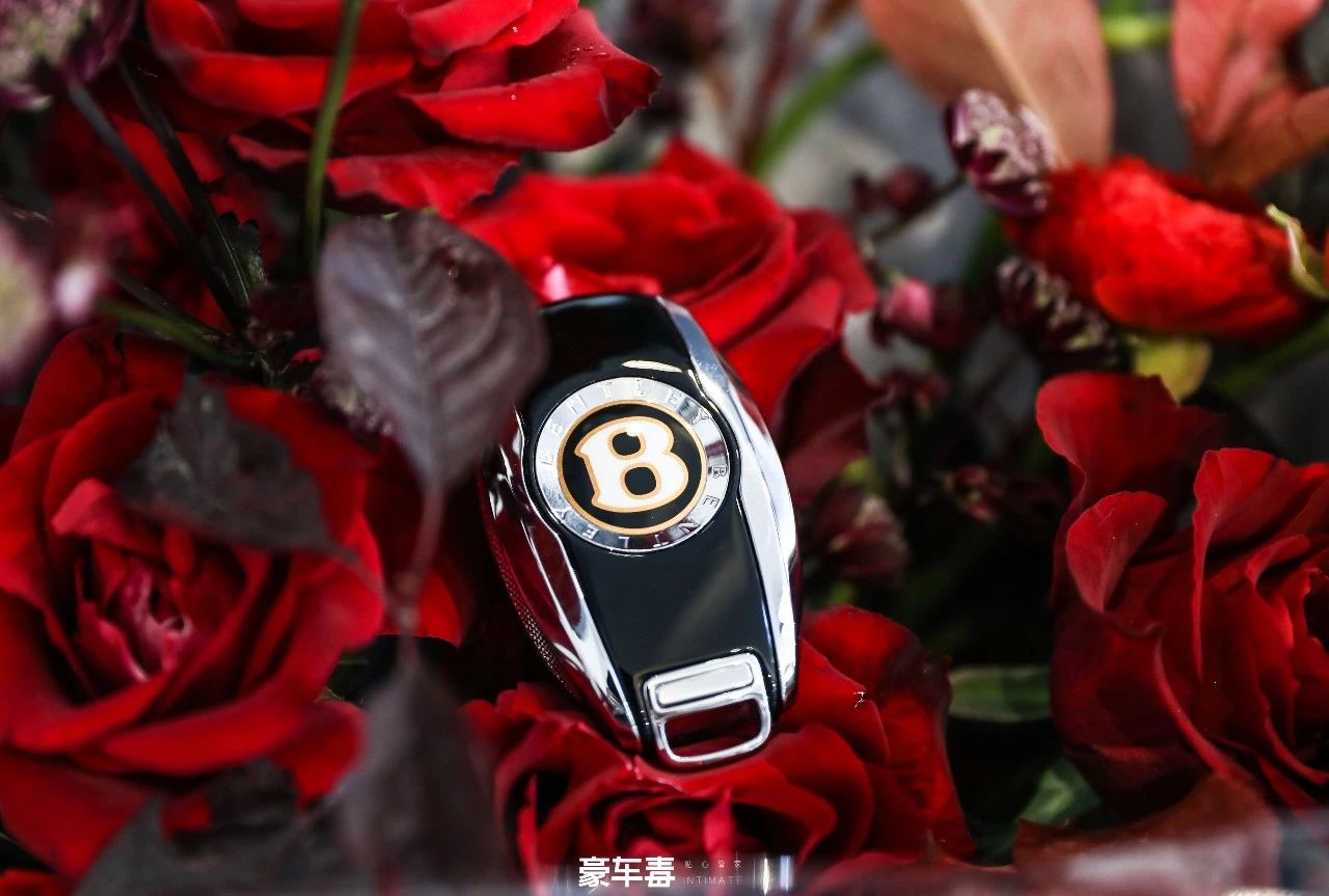 4S店做不到的事,它全包了