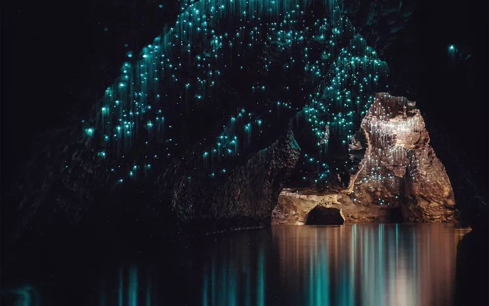 我带女朋友去新西兰，看几百万串会发光的“鼻涕”，她昏了过去