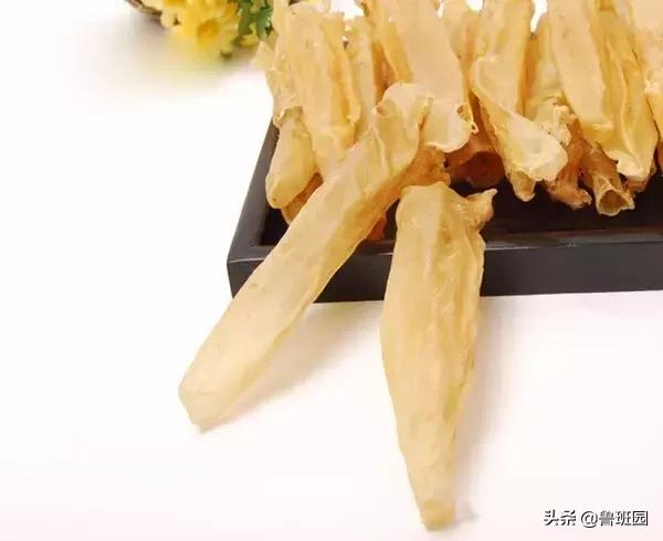 鱼鳔胶怎么样的好,鱼鳔和鱼鳔胶区别