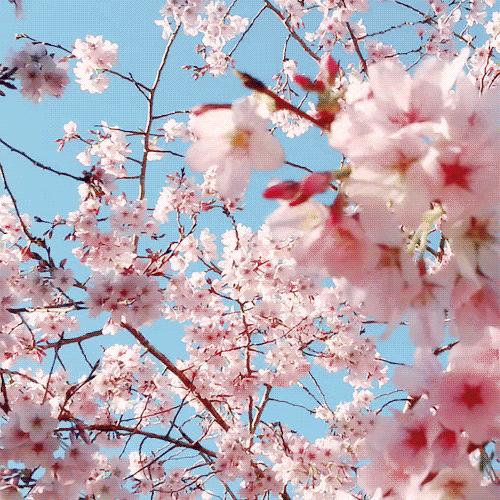 广州凉爽又好玩公园在哪里,夏季广州公园游玩攻略