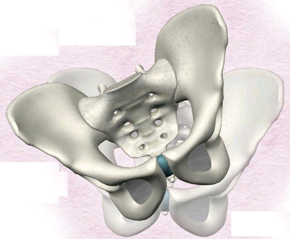 自测骨盆前倾最快纠正法,骨盆歪斜和骨盆扭曲一样吗