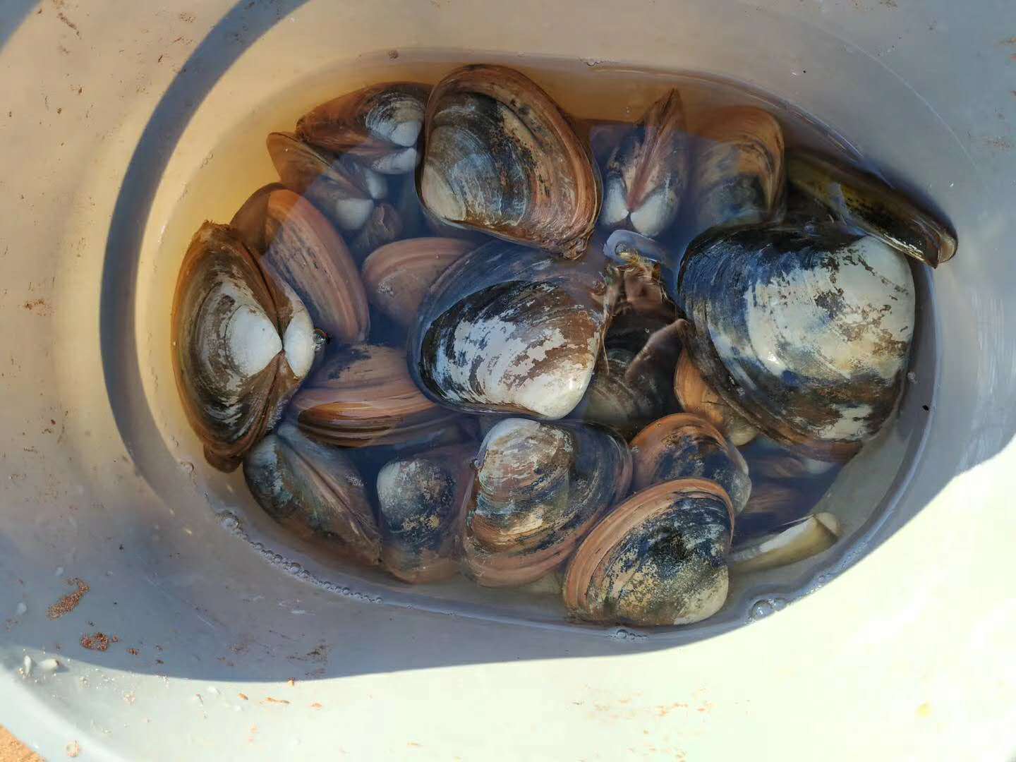 加拿大地图爱德华王子岛,加拿大的爱德华王子岛