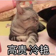 港股打新新手入门教程,港股打新入门技巧