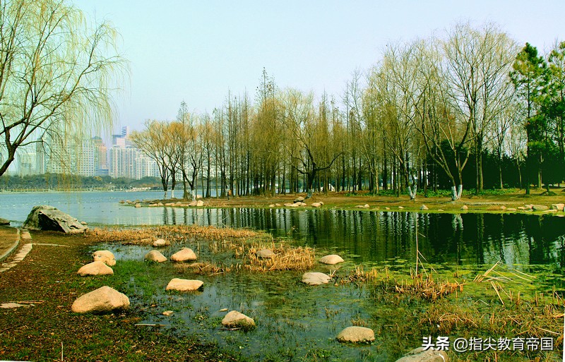 二年级下册写春天的作文100个字,二年级下册语文2课找春天笔记