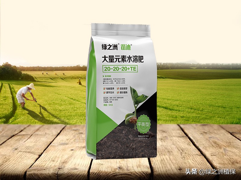 黄瓜的苦味是怎么造成的,黄瓜苦涩味怎么处理