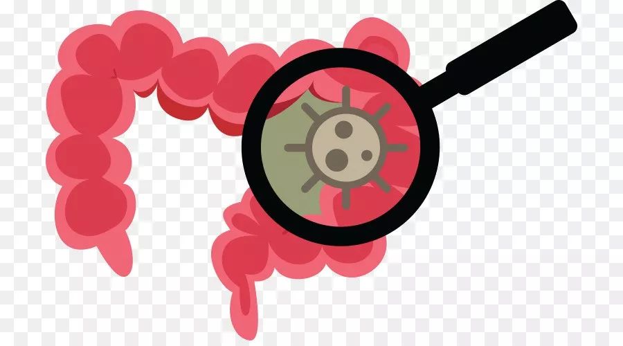 结肠癌入侵淋巴,结肠癌最佳终结者