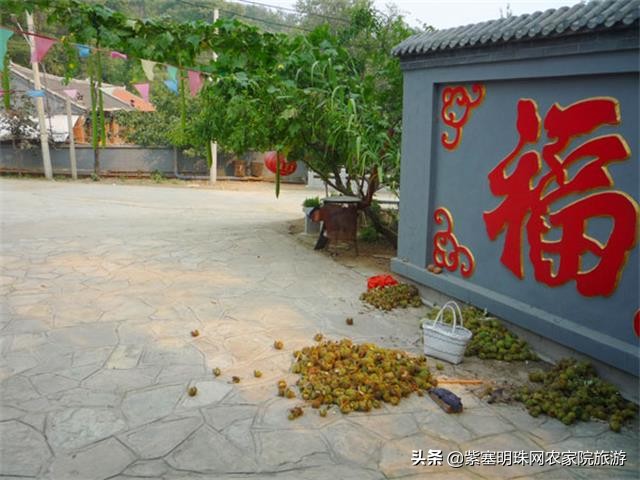 天津蓟县梨木台景点附近农家院,天津蓟县旅游梨木台攻略