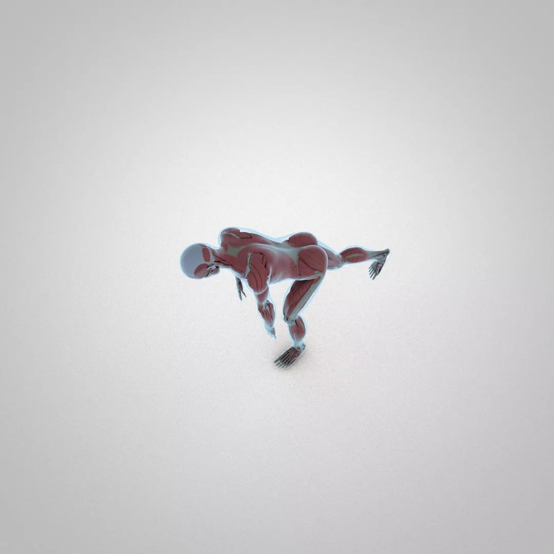 5个臀部动作练屁股,5个需要了解的臀部训练