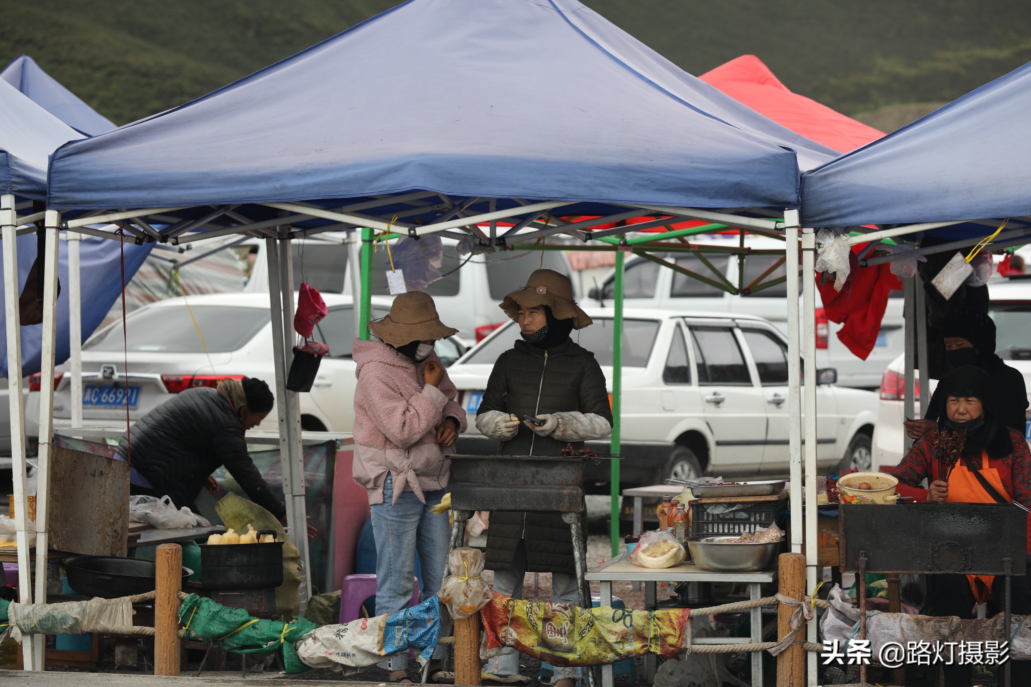 草原美丽的花海风景视频,青海花海旅游景区