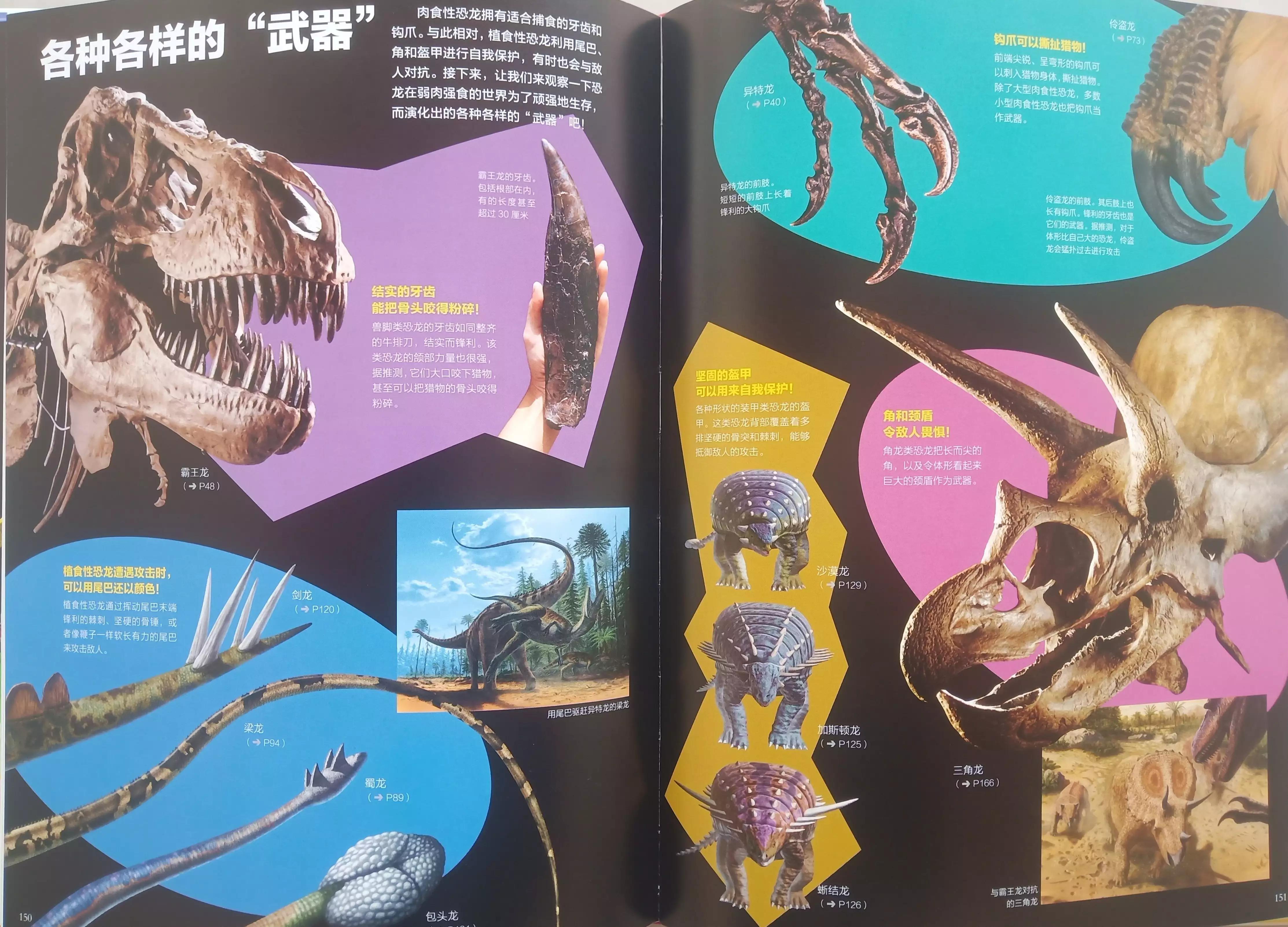 恐龙百科知识儿童版6岁,适合8到9岁男孩看的恐龙百科全书