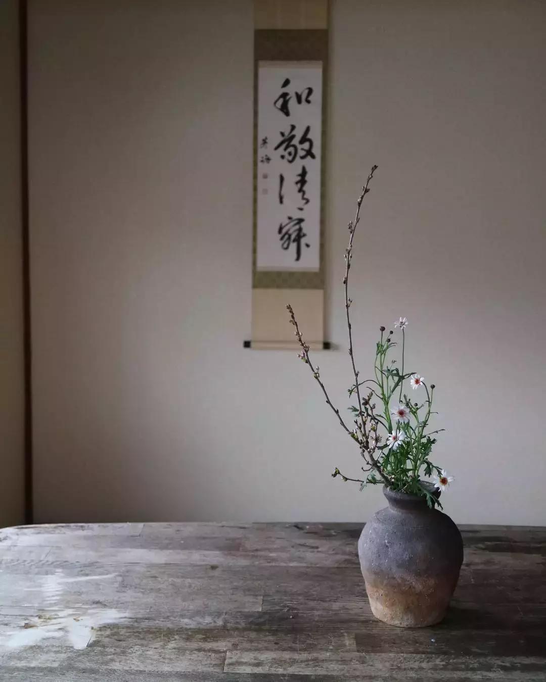 创意禅意插花月季盘花,禅意插花100例兰花