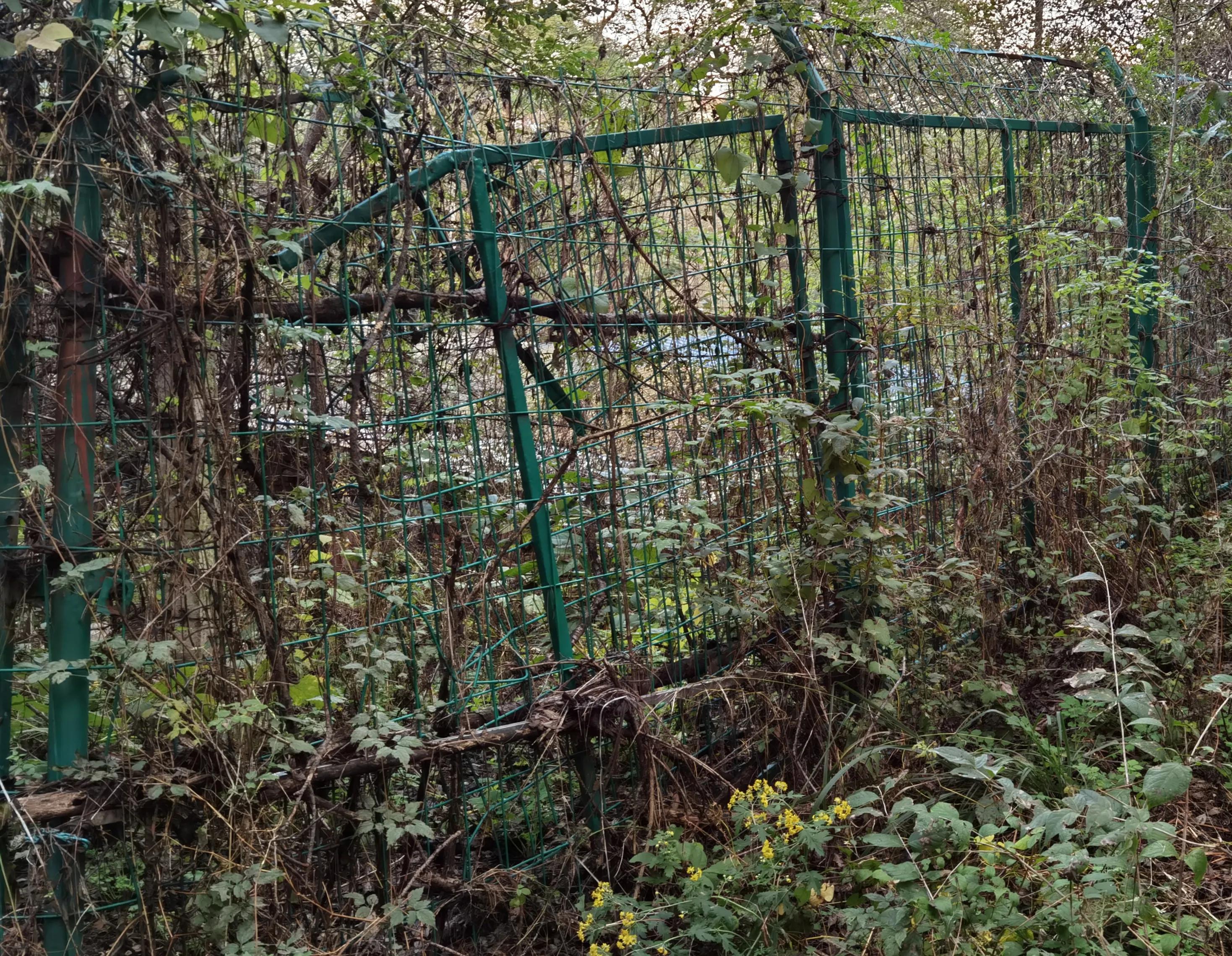 抚顺交通宾馆发生了什么,抚顺交通宾馆位置