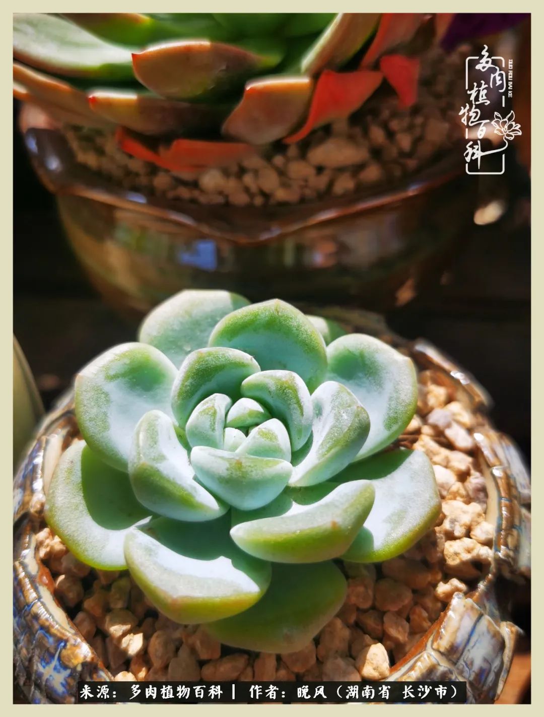 摇身一变成了奶爸,摇身一变成为打工人