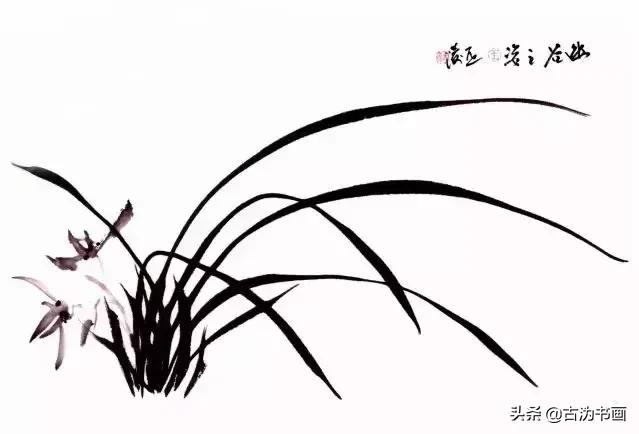 国画兰花技法讲解视频,徐湛国画兰花技法教学