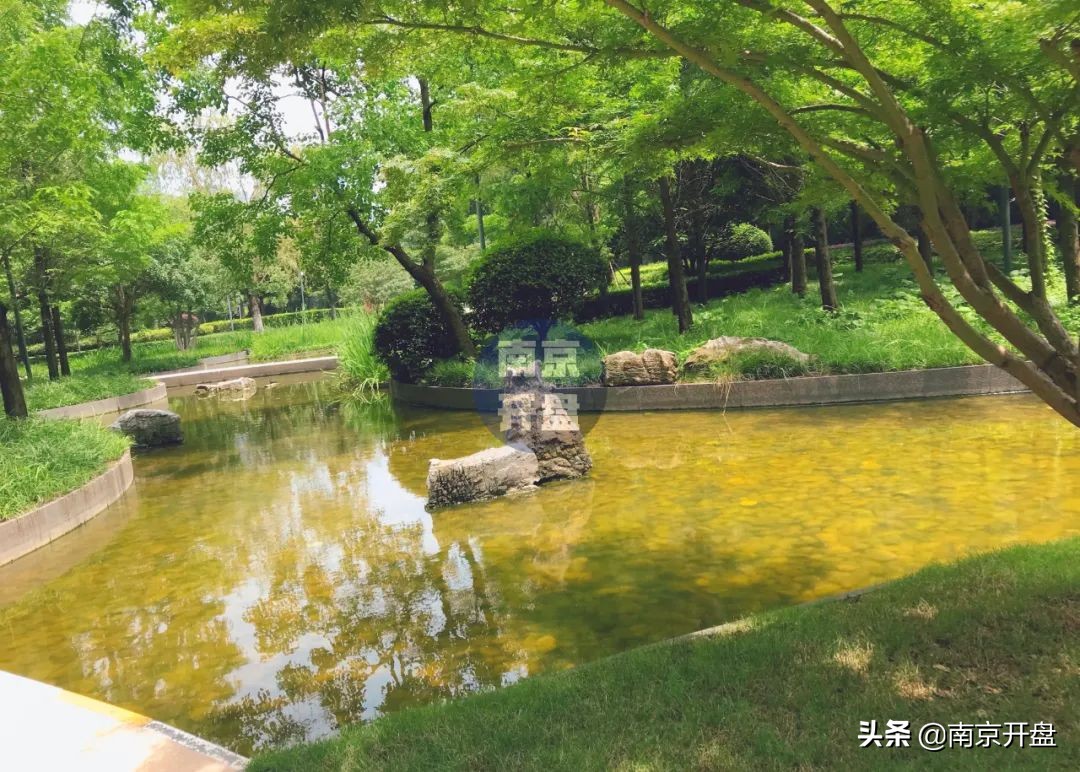 8.3万/㎡成交！今天实探仁恒次新房，实景美炸了