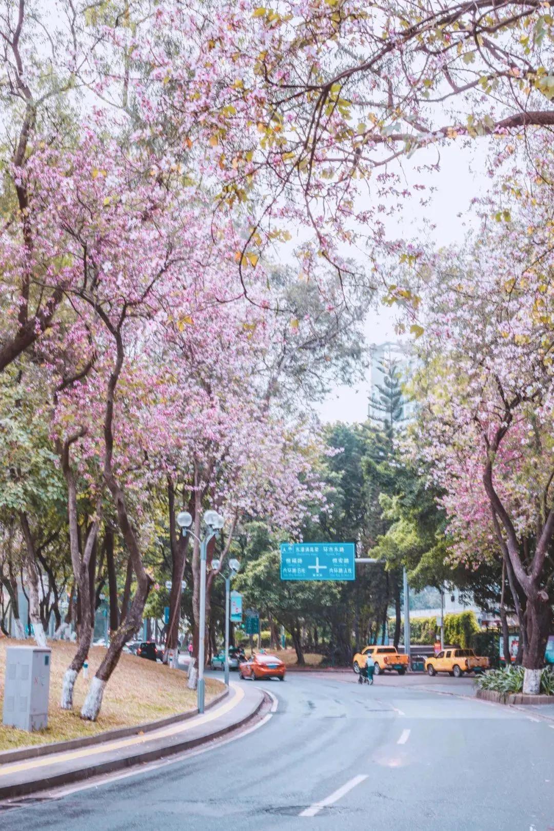 广州花都公园景点地图 (花都旅游景点分布图高清版)