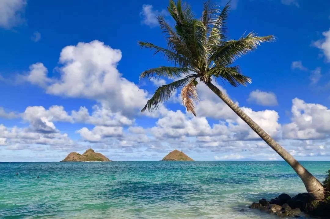 为什么一定要去夏威夷,为什么大家都去夏威夷