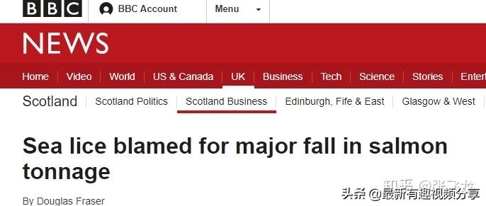 挪威三文鱼养殖环境恶劣纪录片,挪威三文鱼养殖环境恶劣新闻