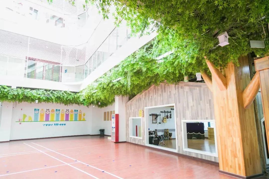 不好好上课，带着孩子到处跑，汇爱德幼稚园为何被央视导演相中？