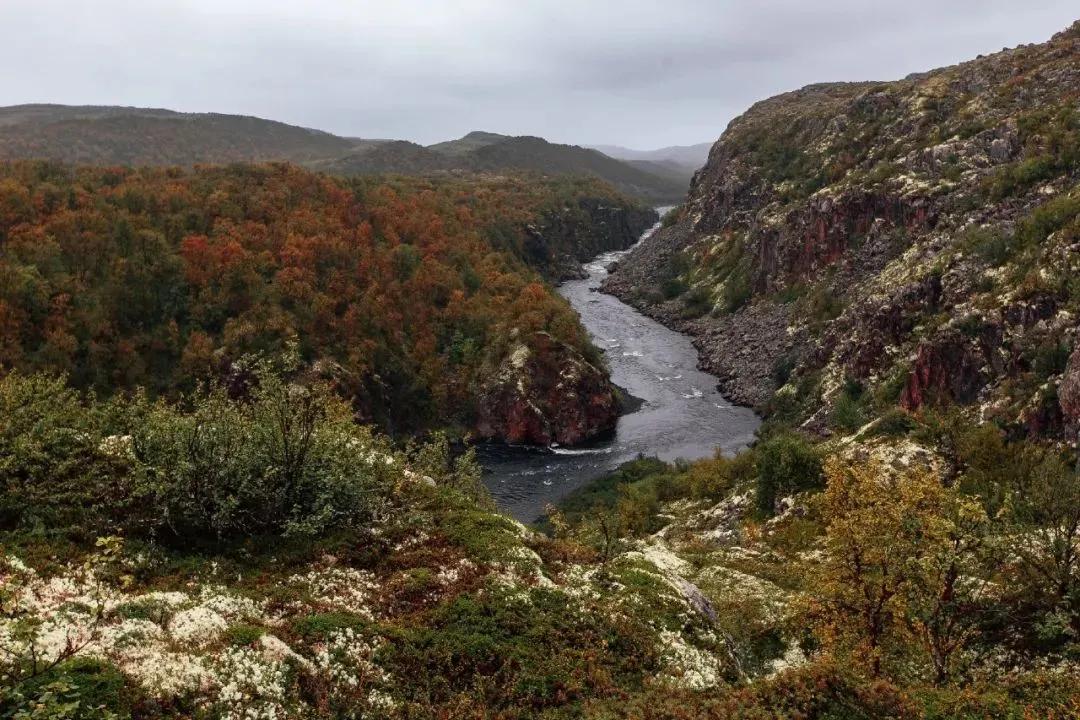 新手小白如何快速入门自媒体写作,自媒体新手怎么入门选什么平台
