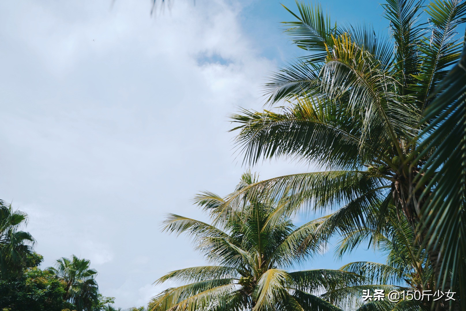 想念三亚的阳光和沙滩海浪,三亚期盼已久的大海