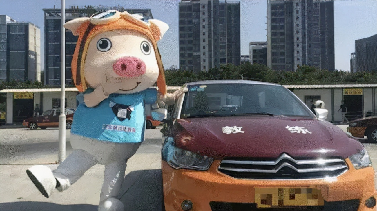 网红驾校破产,猪兼强驾校破产了学费还能退吗