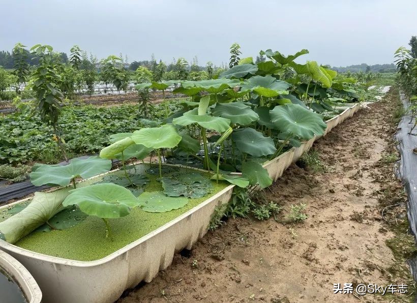 7万公里老款宝马x5,宝马x5的优缺点