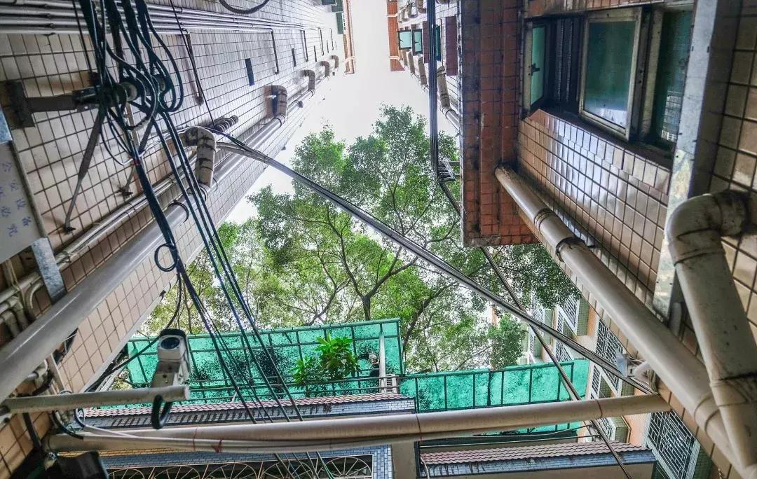 笋岗，不说再见！