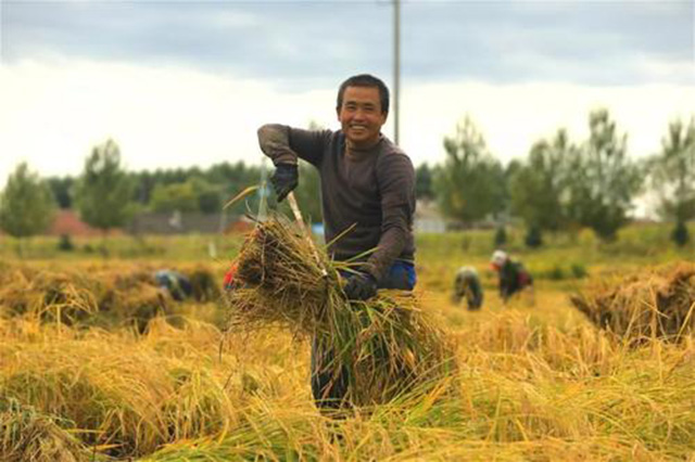 王福重穷人与富人,王福重务农