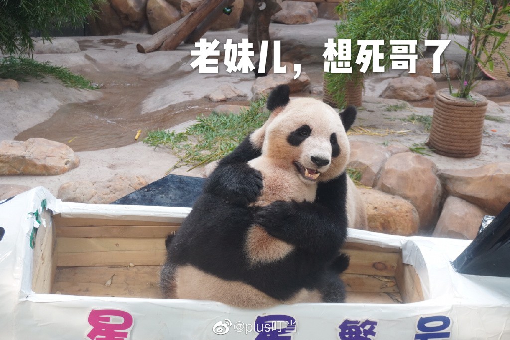 因为你们，“爱豆”的世界离我们不再远咯