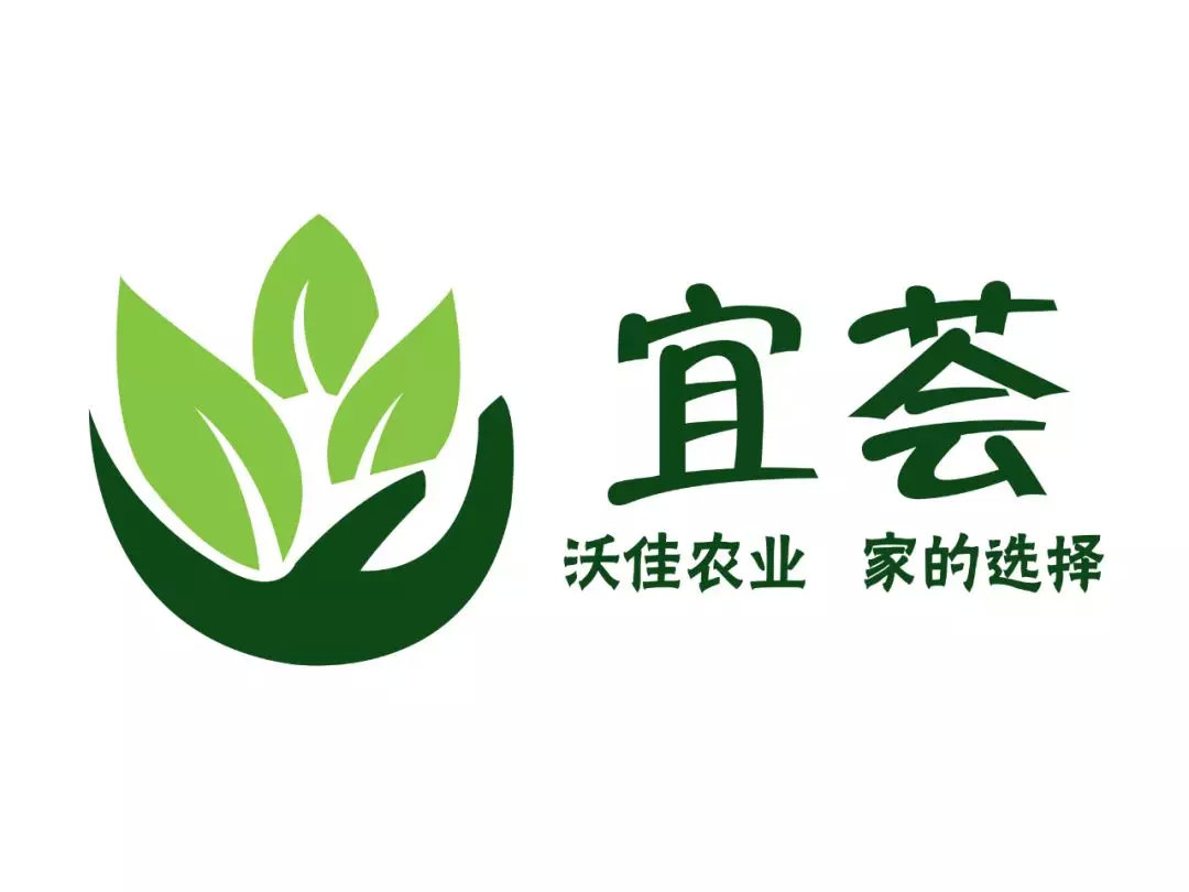 个人logo设计免费在线,logo设计在线生成免费创意