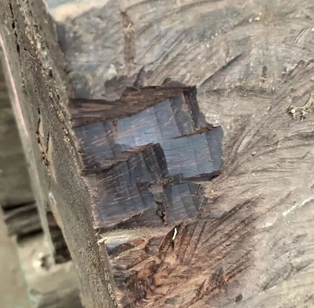 国标红木29种高清图,29种国标红木排名及价格