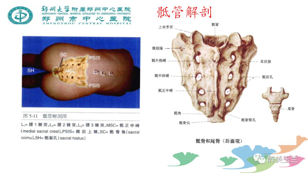 局麻药中毒的术前用药口诀,局麻药中毒临床表现及处理流程ppt
