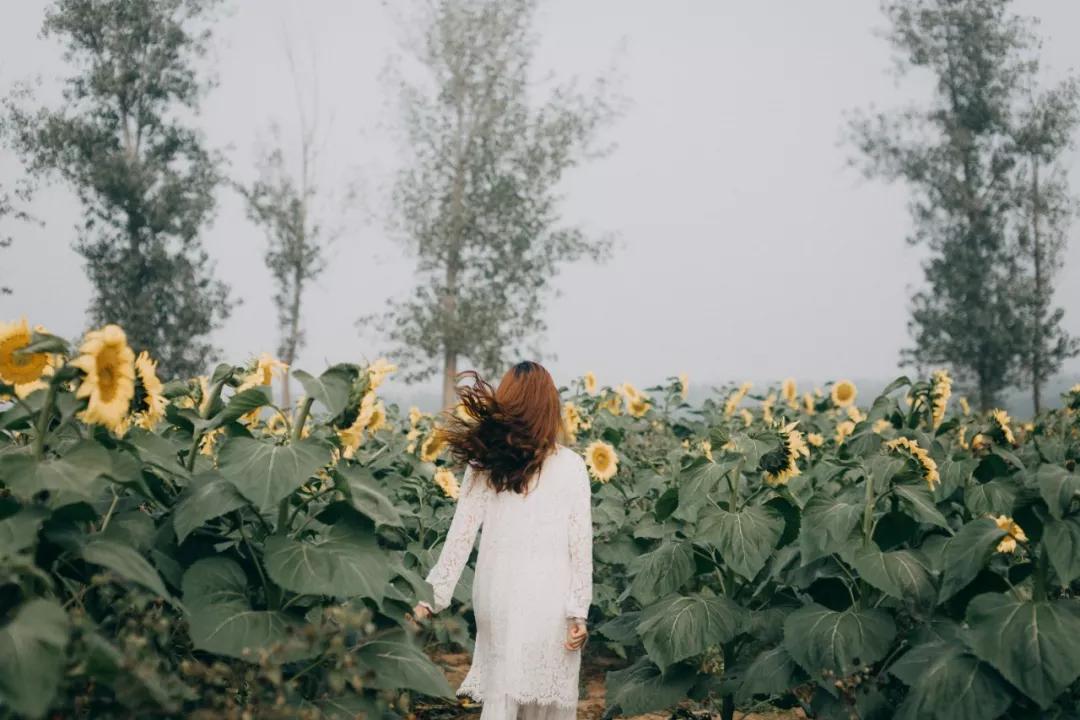 保时捷macan多少钱能上路,保时捷macan最低上路价格