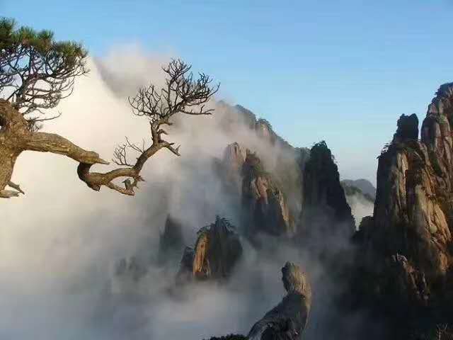 四种小孩能不能玩的东西,四个小孩能玩的东西