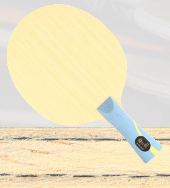 乒乓装备推荐,乒乓全套配件