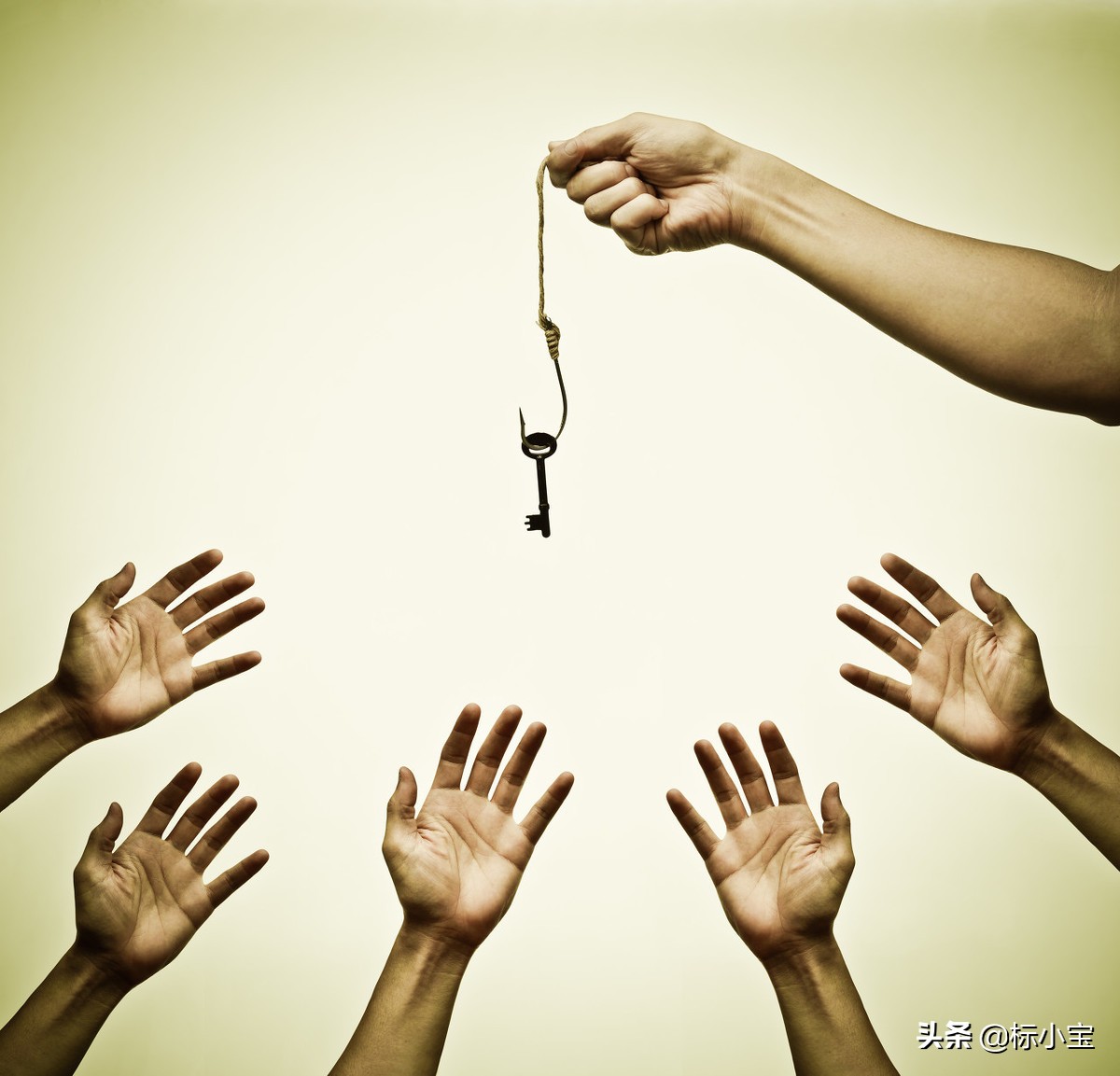 嘉兴今日招标公告,嘉兴秀洲2号地6月招标