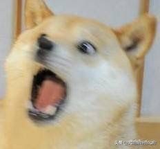 日本皇室特别喜欢给动物封官，每一个级别都比大名高