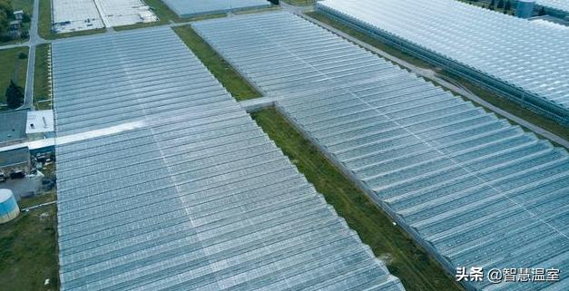 盘点温室大棚的优缺点，看看哪个类型适合你